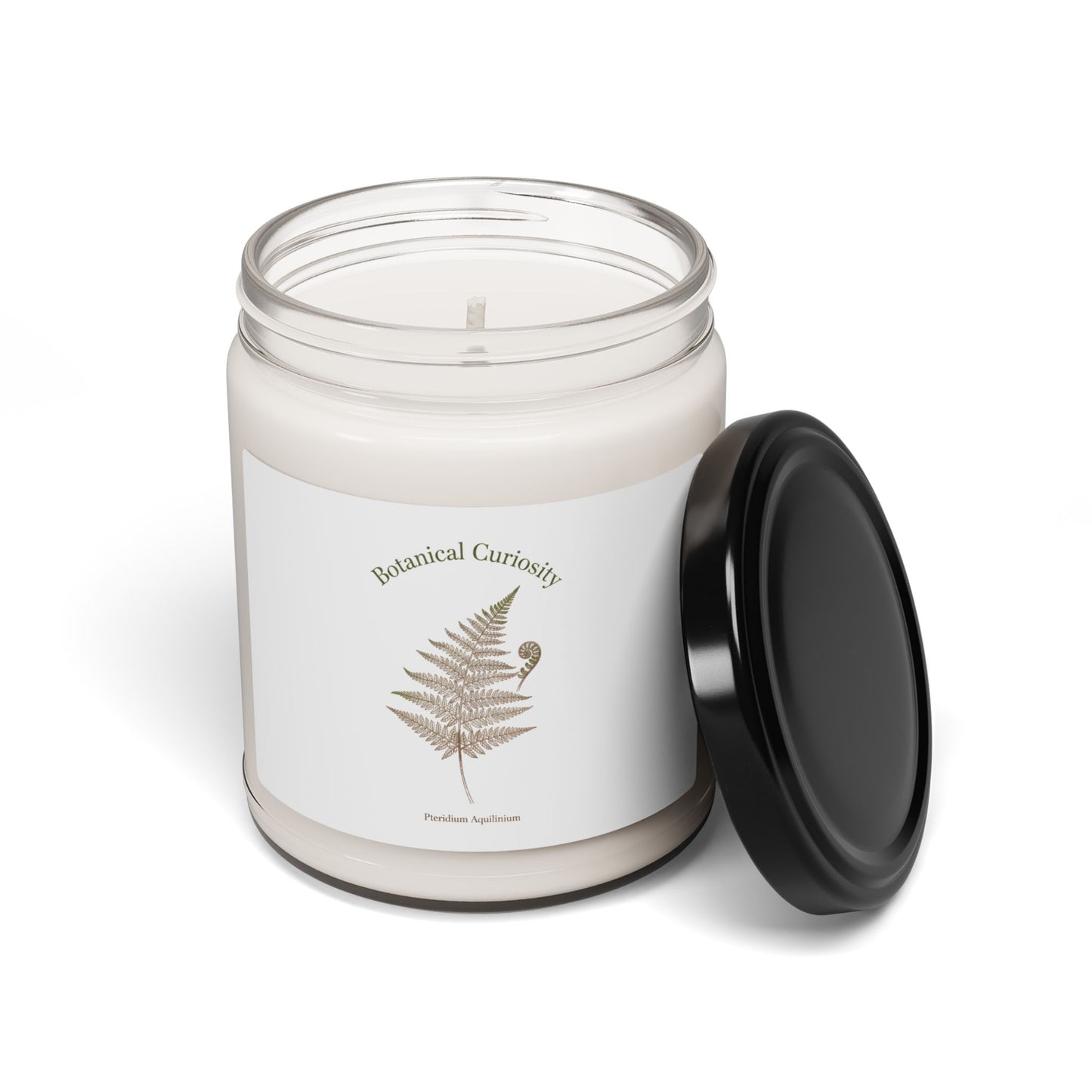 Fern-cy Scented Soy Candle, 9oz