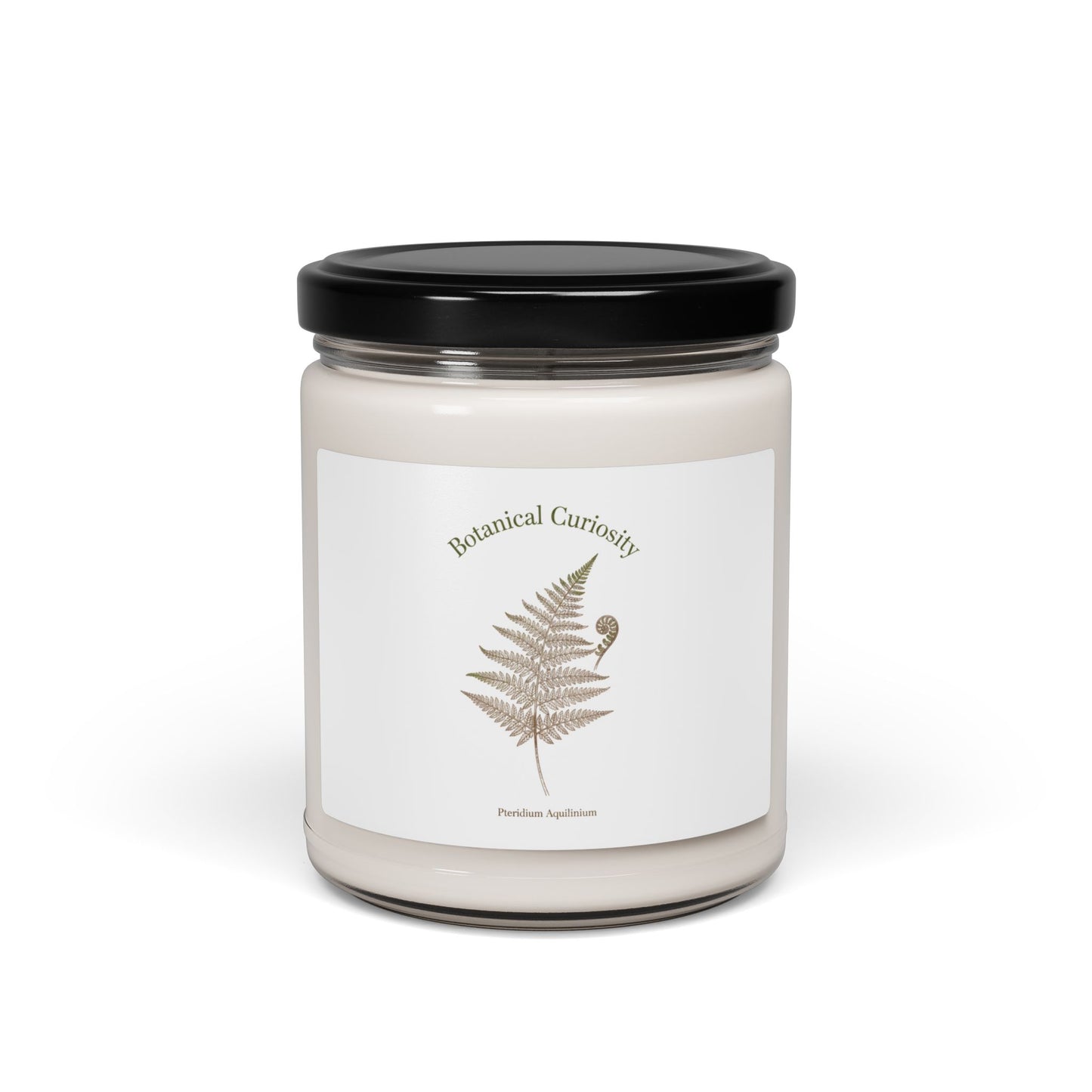 Fern-cy Scented Soy Candle, 9oz