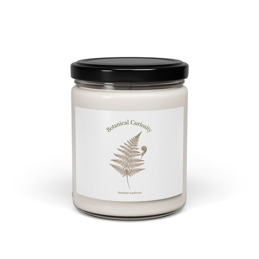 Fern-cy Scented Soy Candle, 9oz